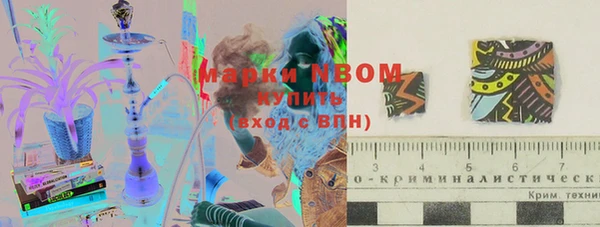 стаф Лабытнанги