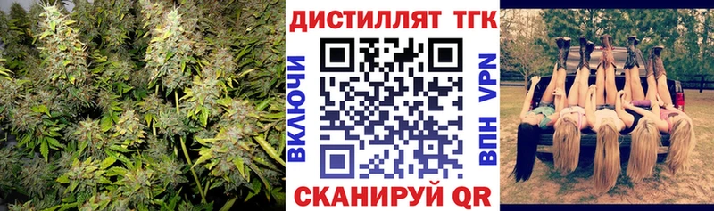 Купить закладки  Гусиноозёрск  Дистиллят ТГК THC oil 