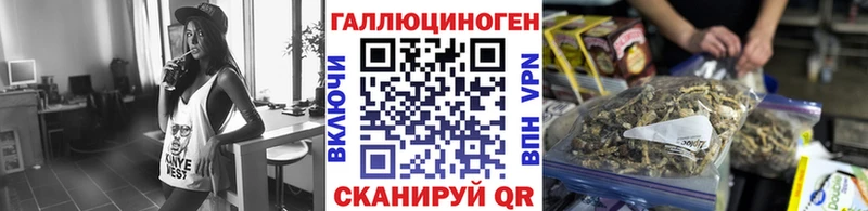Купить закладки  Гусиноозёрск  Галлюциногенные грибы GOLDEN TEACHER 